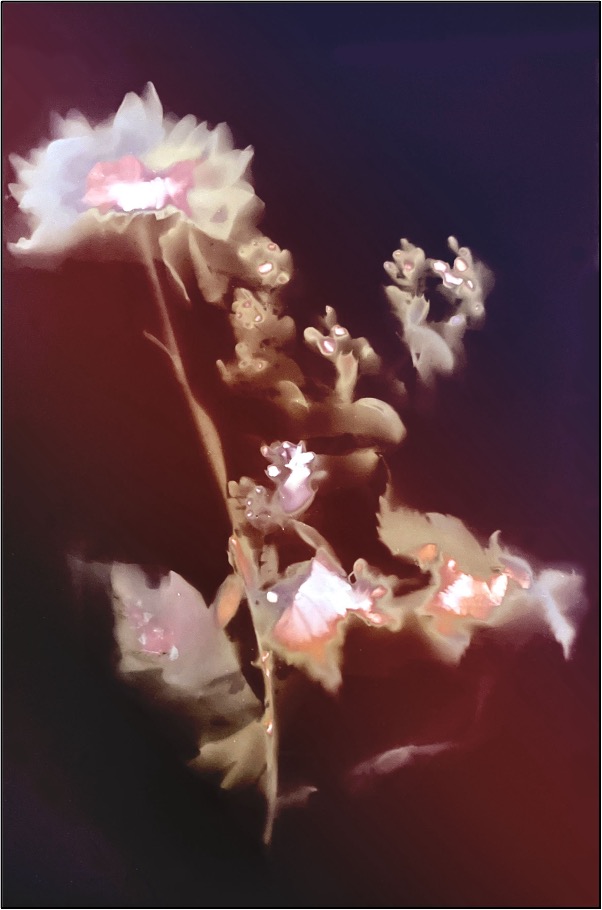 Landscape photograph